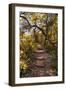 Awesome South Africa Collection - African Jungle II-Philippe Hugonnard-Framed Photographic Print