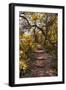 Awesome South Africa Collection - African Jungle II-Philippe Hugonnard-Framed Photographic Print