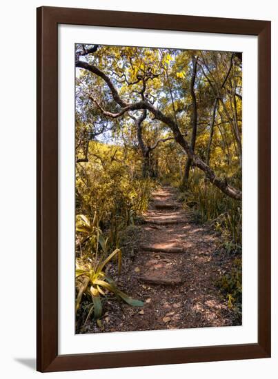 Awesome South Africa Collection - African Jungle II-Philippe Hugonnard-Framed Photographic Print