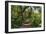 Awesome South Africa Collection - African Jungle III-Philippe Hugonnard-Framed Photographic Print