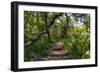 Awesome South Africa Collection - African Jungle III-Philippe Hugonnard-Framed Photographic Print