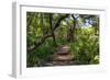 Awesome South Africa Collection - African Jungle III-Philippe Hugonnard-Framed Photographic Print