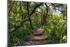 Awesome South Africa Collection - African Jungle III-Philippe Hugonnard-Mounted Photographic Print