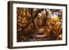 Awesome South Africa Collection - African Jungle IV-Philippe Hugonnard-Framed Photographic Print