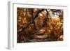 Awesome South Africa Collection - African Jungle IV-Philippe Hugonnard-Framed Photographic Print