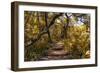 Awesome South Africa Collection - African Jungle V-Philippe Hugonnard-Framed Photographic Print
