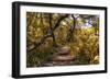 Awesome South Africa Collection - African Jungle V-Philippe Hugonnard-Framed Photographic Print