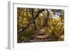 Awesome South Africa Collection - African Jungle V-Philippe Hugonnard-Framed Photographic Print