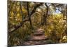 Awesome South Africa Collection - African Jungle V-Philippe Hugonnard-Mounted Photographic Print