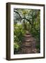 Awesome South Africa Collection - African Jungle-Philippe Hugonnard-Framed Photographic Print