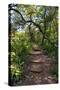 Awesome South Africa Collection - African Jungle-Philippe Hugonnard-Stretched Canvas
