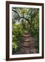 Awesome South Africa Collection - African Jungle-Philippe Hugonnard-Framed Photographic Print