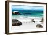 Awesome South Africa Collection - African Penguins at Boulders Beach IV-Philippe Hugonnard-Framed Photographic Print