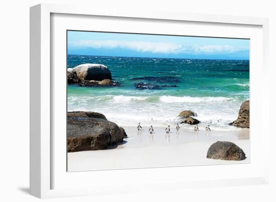 Awesome South Africa Collection - African Penguins at Boulders Beach IV-Philippe Hugonnard-Framed Photographic Print