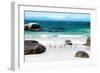 Awesome South Africa Collection - African Penguins at Boulders Beach IV-Philippe Hugonnard-Framed Photographic Print