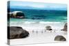 Awesome South Africa Collection - African Penguins at Boulders Beach IV-Philippe Hugonnard-Stretched Canvas