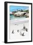 Awesome South Africa Collection - African Penguins at Boulders Beach IX-Philippe Hugonnard-Framed Photographic Print