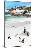 Awesome South Africa Collection - African Penguins at Boulders Beach IX-Philippe Hugonnard-Mounted Photographic Print