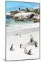 Awesome South Africa Collection - African Penguins at Boulders Beach IX-Philippe Hugonnard-Mounted Photographic Print