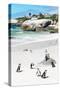 Awesome South Africa Collection - African Penguins at Boulders Beach IX-Philippe Hugonnard-Stretched Canvas