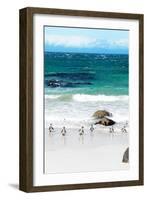 Awesome South Africa Collection - African Penguins at Boulders Beach V-Philippe Hugonnard-Framed Photographic Print