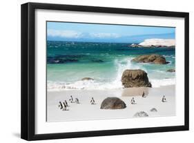 Awesome South Africa Collection - African Penguins at Boulders Beach VI-Philippe Hugonnard-Framed Premium Photographic Print