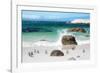 Awesome South Africa Collection - African Penguins at Boulders Beach VI-Philippe Hugonnard-Framed Photographic Print