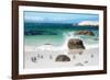 Awesome South Africa Collection - African Penguins at Boulders Beach VI-Philippe Hugonnard-Framed Photographic Print