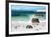 Awesome South Africa Collection - African Penguins at Boulders Beach VI-Philippe Hugonnard-Framed Photographic Print