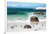 Awesome South Africa Collection - African Penguins at Boulders Beach VI-Philippe Hugonnard-Framed Photographic Print