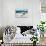 Awesome South Africa Collection - African Penguins at Boulders Beach VI-Philippe Hugonnard-Stretched Canvas displayed on a wall