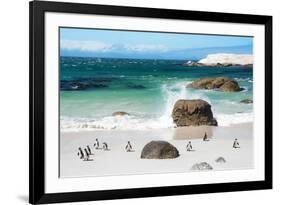 Awesome South Africa Collection - African Penguins at Boulders Beach VI-Philippe Hugonnard-Framed Photographic Print