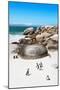 Awesome South Africa Collection - African Penguins at Boulders Beach X-Philippe Hugonnard-Mounted Photographic Print