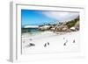 Awesome South Africa Collection - African Penguins at Boulders Beach-Philippe Hugonnard-Framed Photographic Print