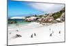 Awesome South Africa Collection - African Penguins at Boulders Beach-Philippe Hugonnard-Mounted Photographic Print