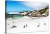 Awesome South Africa Collection - African Penguins at Boulders Beach-Philippe Hugonnard-Stretched Canvas