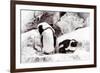 Awesome South Africa Collection - African Penguins II-Philippe Hugonnard-Framed Photographic Print