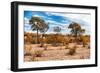 Awesome South Africa Collection - African Savanna Landscape I-Philippe Hugonnard-Framed Photographic Print