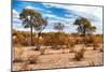 Awesome South Africa Collection - African Savanna Landscape I-Philippe Hugonnard-Mounted Photographic Print