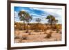 Awesome South Africa Collection - African Savanna Landscape I-Philippe Hugonnard-Framed Photographic Print