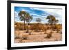 Awesome South Africa Collection - African Savanna Landscape I-Philippe Hugonnard-Framed Photographic Print