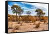 Awesome South Africa Collection - African Savanna Landscape I-Philippe Hugonnard-Framed Stretched Canvas