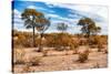 Awesome South Africa Collection - African Savanna Landscape I-Philippe Hugonnard-Stretched Canvas