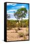 Awesome South Africa Collection - African Savanna Landscape II-Philippe Hugonnard-Framed Stretched Canvas