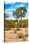 Awesome South Africa Collection - African Savanna Landscape II-Philippe Hugonnard-Stretched Canvas