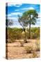 Awesome South Africa Collection - African Savanna Landscape II-Philippe Hugonnard-Stretched Canvas