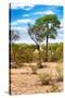 Awesome South Africa Collection - African Savanna Landscape II-Philippe Hugonnard-Stretched Canvas