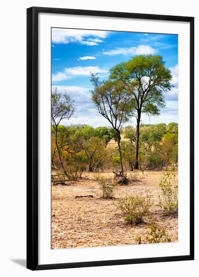 Awesome South Africa Collection - African Savanna Landscape II-Philippe Hugonnard-Framed Photographic Print