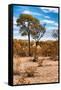 Awesome South Africa Collection - African Savanna Landscape III-Philippe Hugonnard-Framed Stretched Canvas