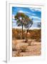 Awesome South Africa Collection - African Savanna Landscape III-Philippe Hugonnard-Framed Photographic Print